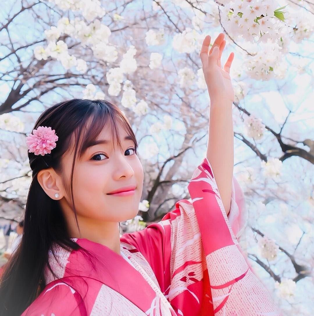 Hoa anh dao Nhat Ban anh 3