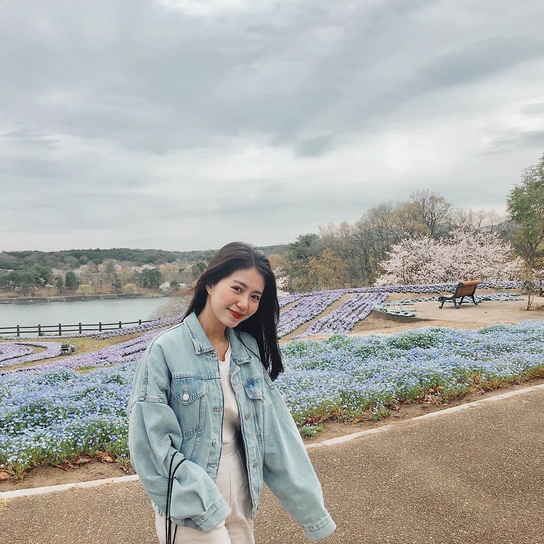 Hoa anh dao Nhat Ban anh 5