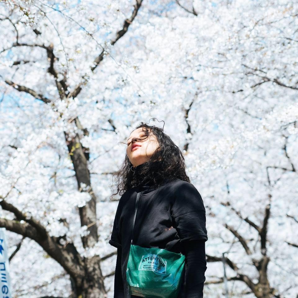 Hoa anh dao Nhat Ban anh 8