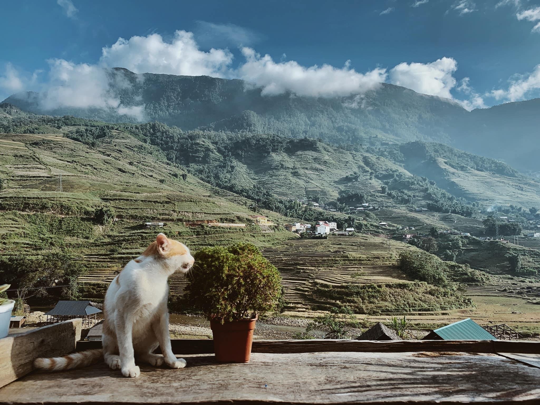 Du lich Sa Pa anh 12