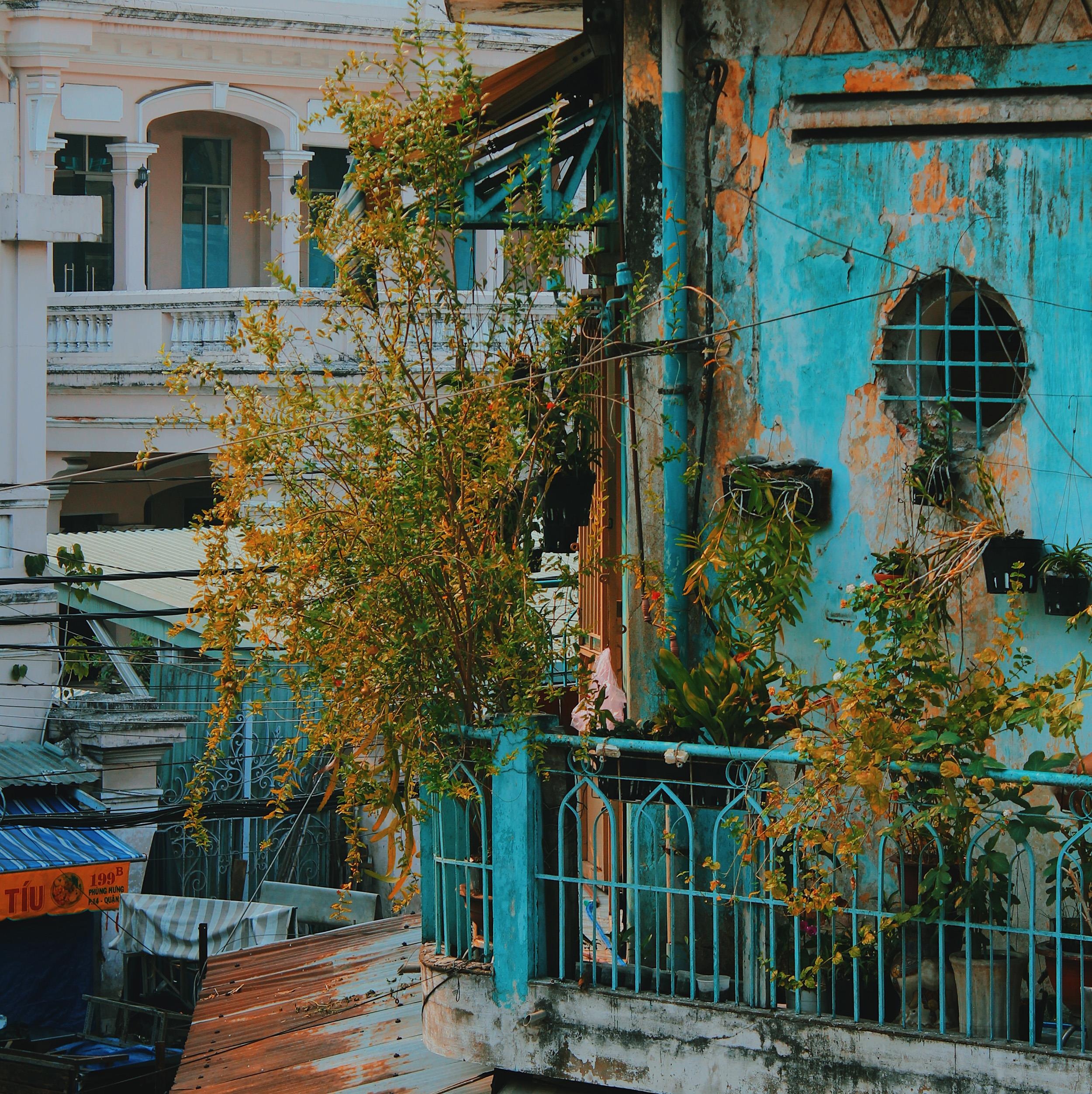 Pho nguoi Hoa Sai Gon anh 4