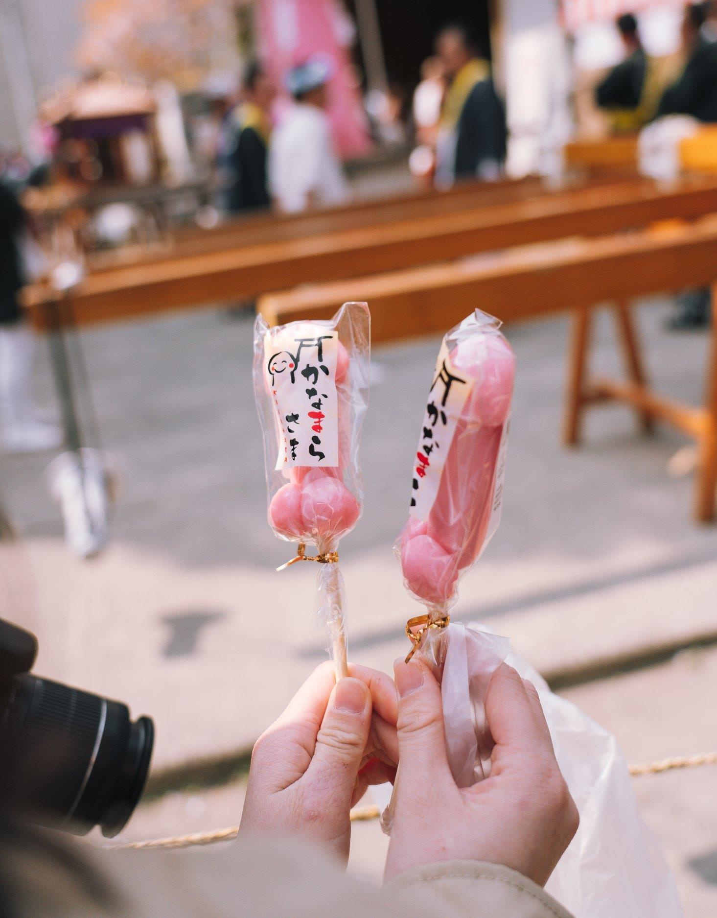 Le hoi duong vat o Nhat anh 13