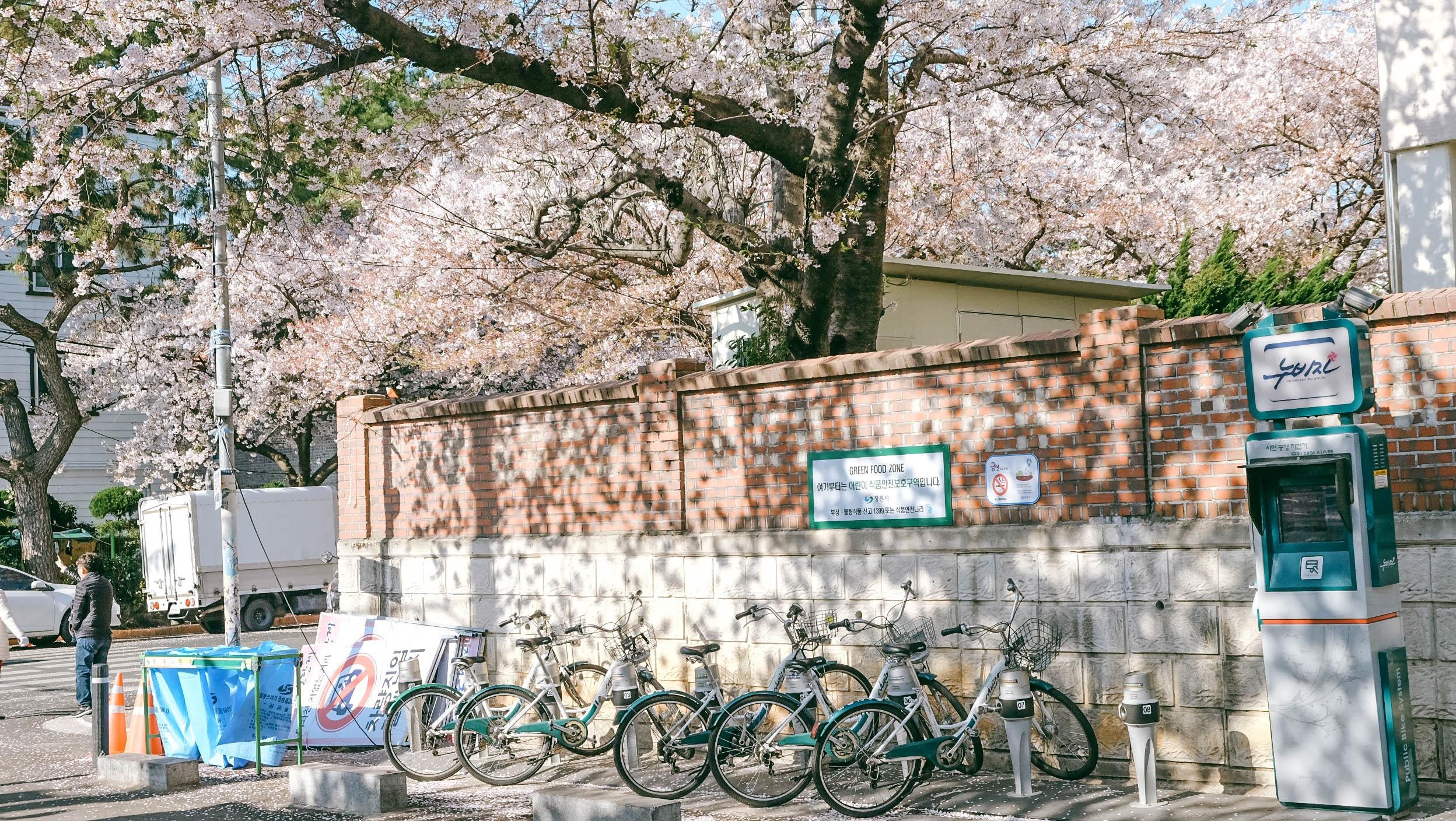 Kinh nghiệm xin visa Hàn Quốc ảnh 2 Kinh nghiem xin visa Han Quoc anh 2