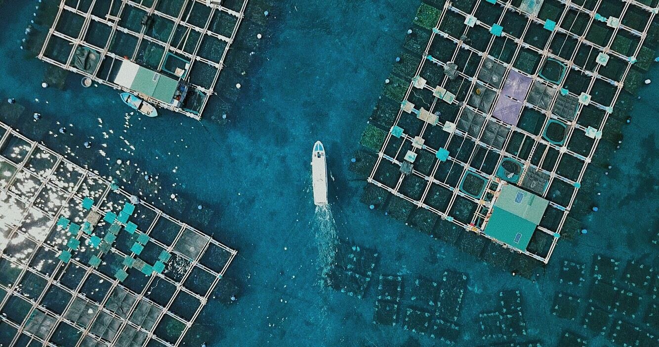 Du lich dao Binh Hung anh 5