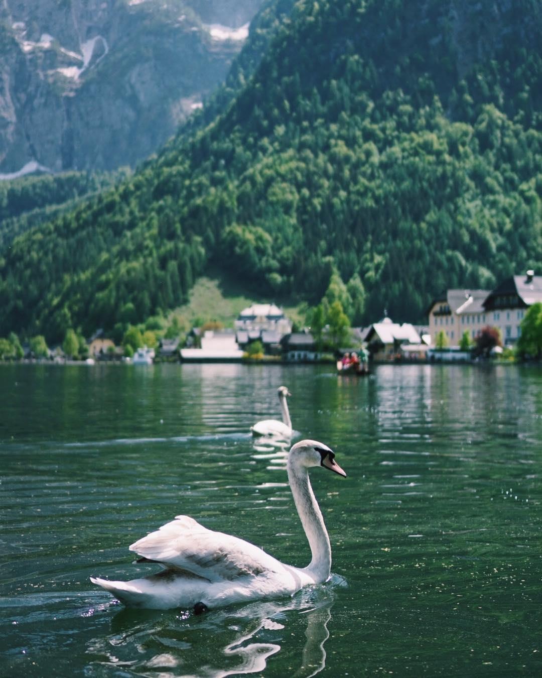 Anh du lich cua hot girl Lao goc Viet anh 11