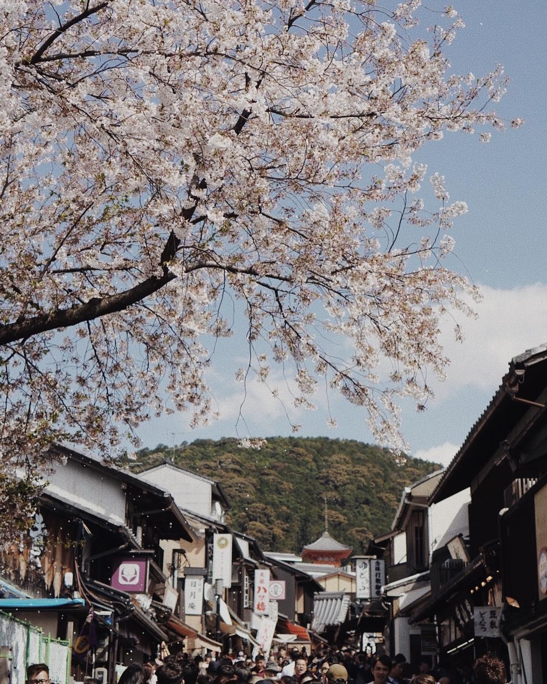 Anh du lich cua hot girl Lao goc Viet anh 4