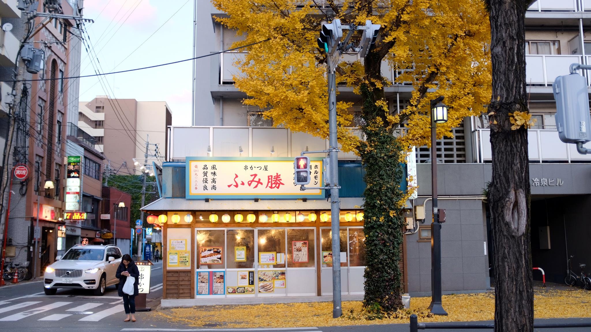 Du lich Nhat Ban anh 23