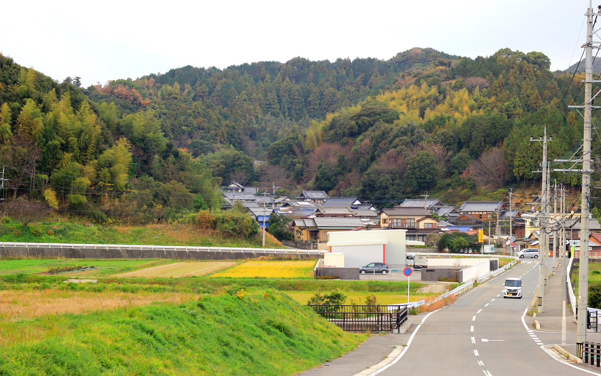 Du lich Nhat Ban anh 4