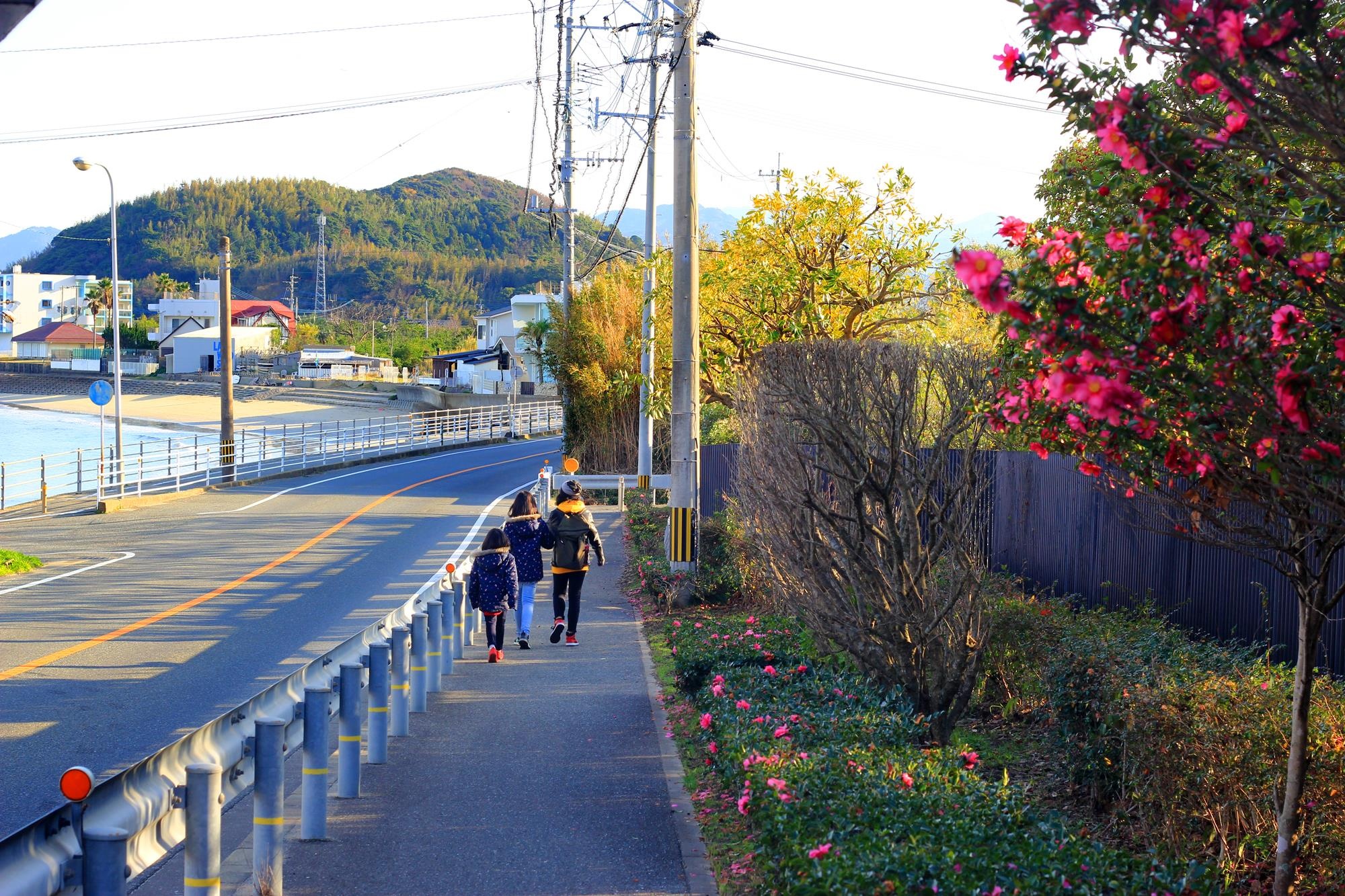 Du lich Nhat Ban anh 7