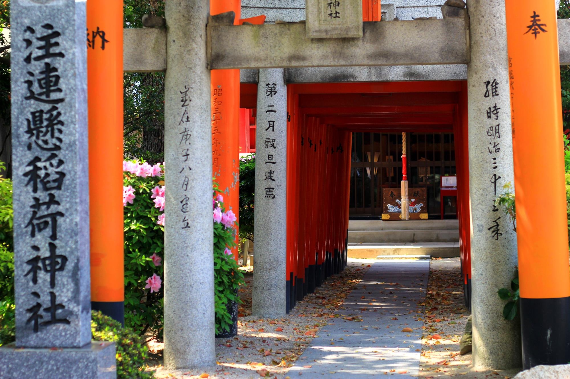 Du lich Nhat Ban anh 16