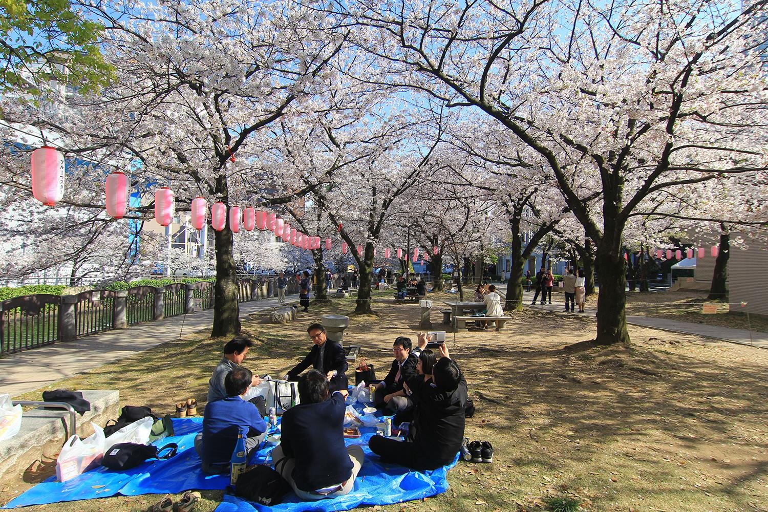 Du lich Nhat Ban anh 18