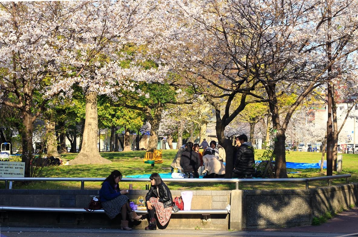 Du lich Nhat Ban anh 3