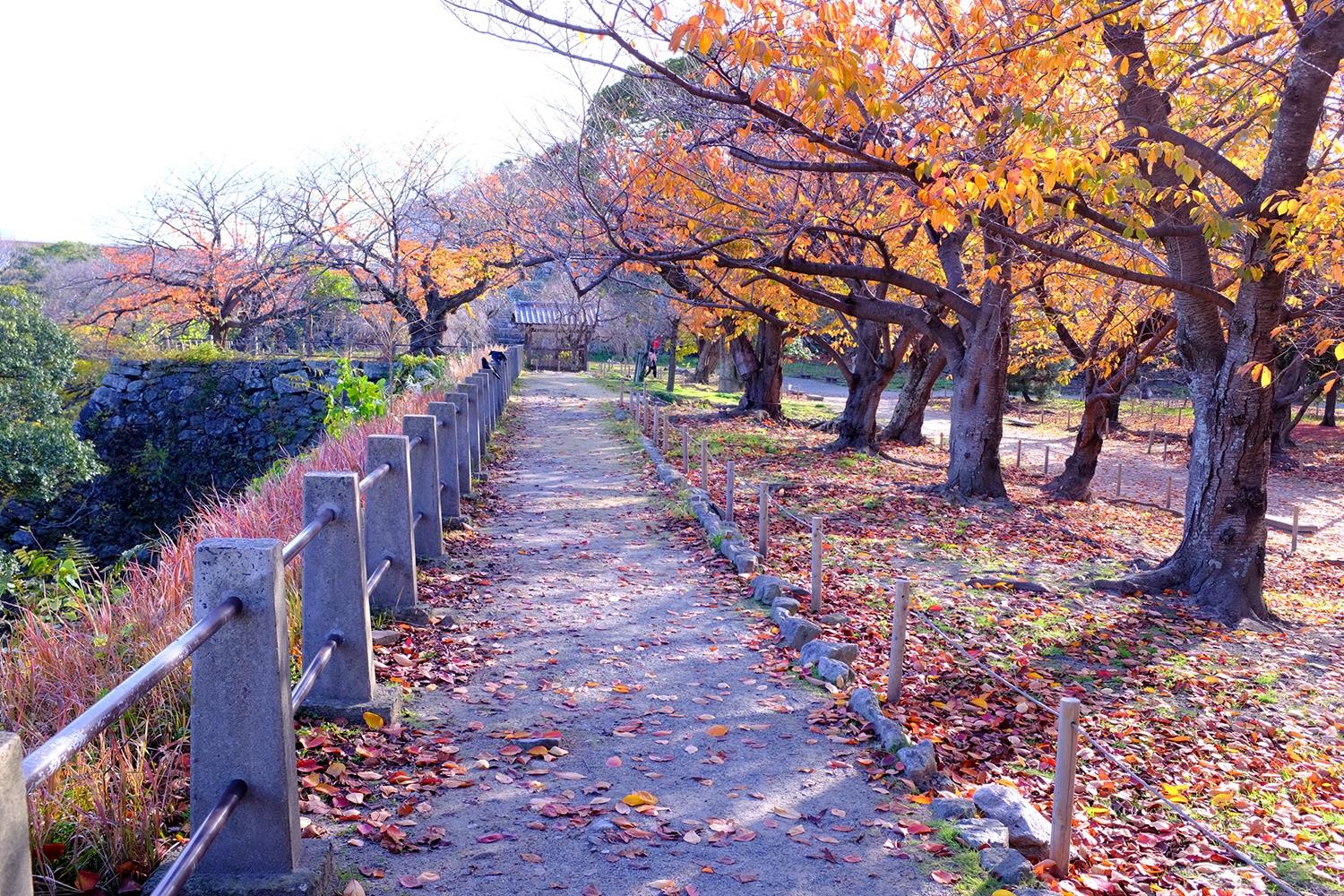 Du lich Nhat Ban anh 6