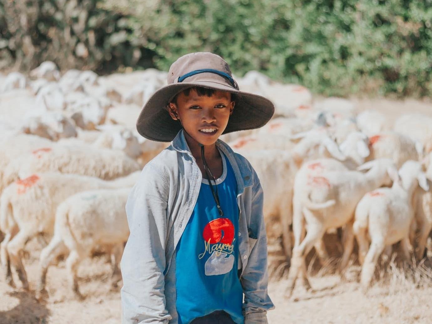 Co nhung goc that tinh tren manh dat Ninh Thuan nang gio hinh anh