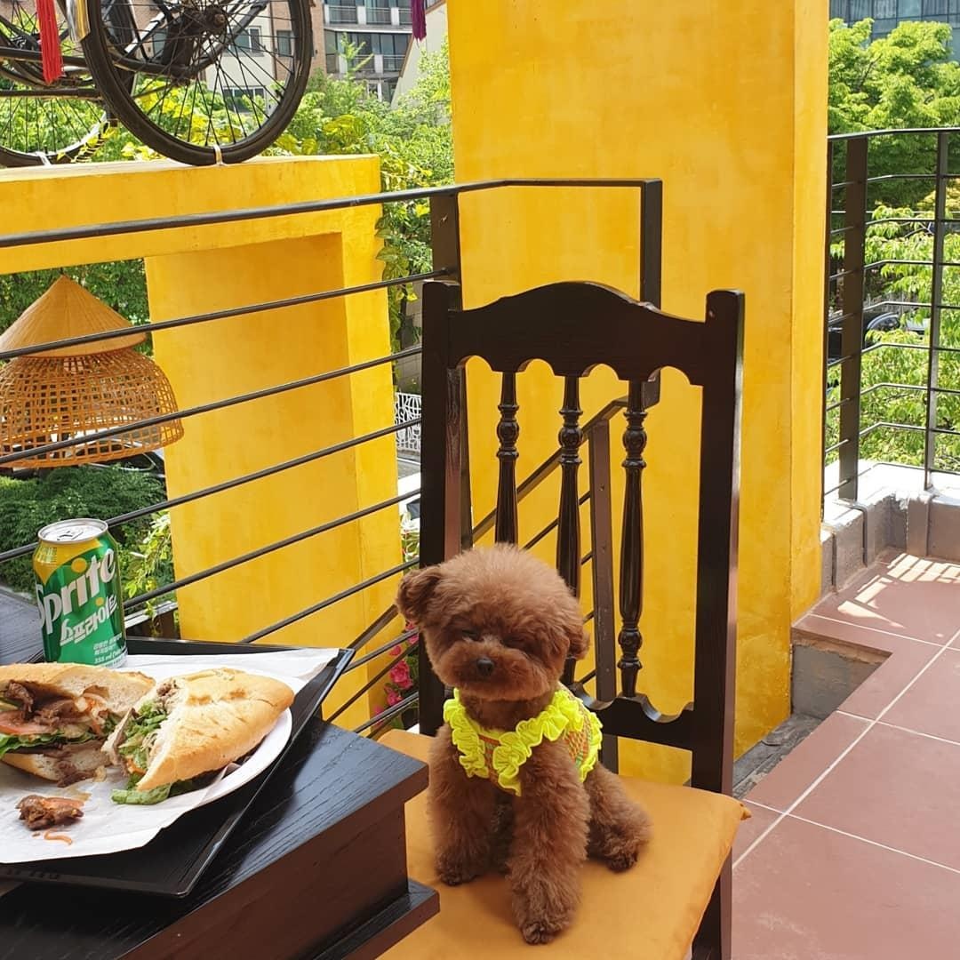 Banh mi Phuong Hoi An o Han Quoc anh 14