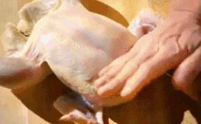 Cach chat ga trong mot not nhac nhu dau bep chuyen nghiep hinh anh