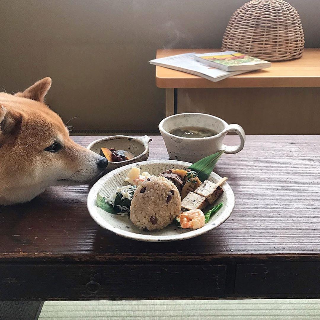 Mon ngon Nhat Ban anh 3