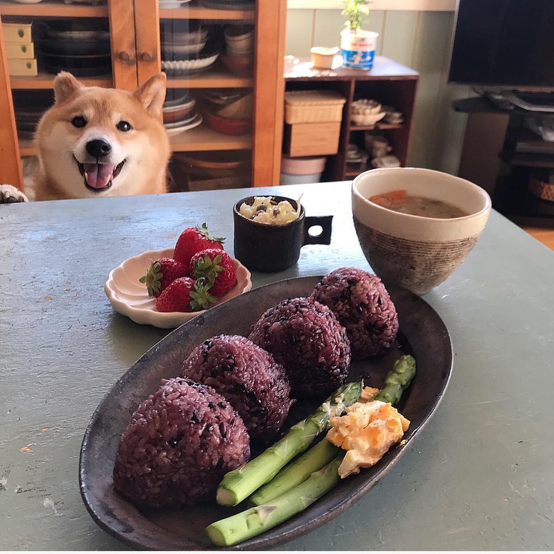 Mon ngon Nhat Ban anh 4