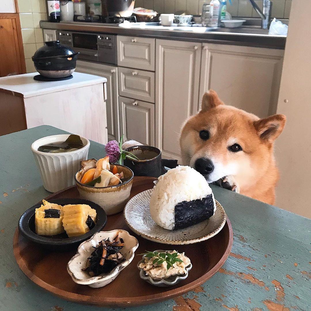 Mon ngon Nhat Ban anh 5