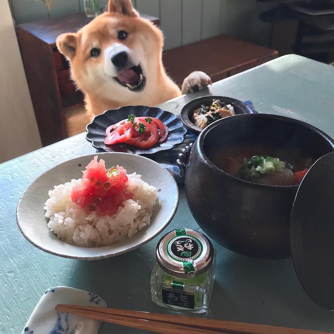 Mon ngon Nhat Ban anh 6