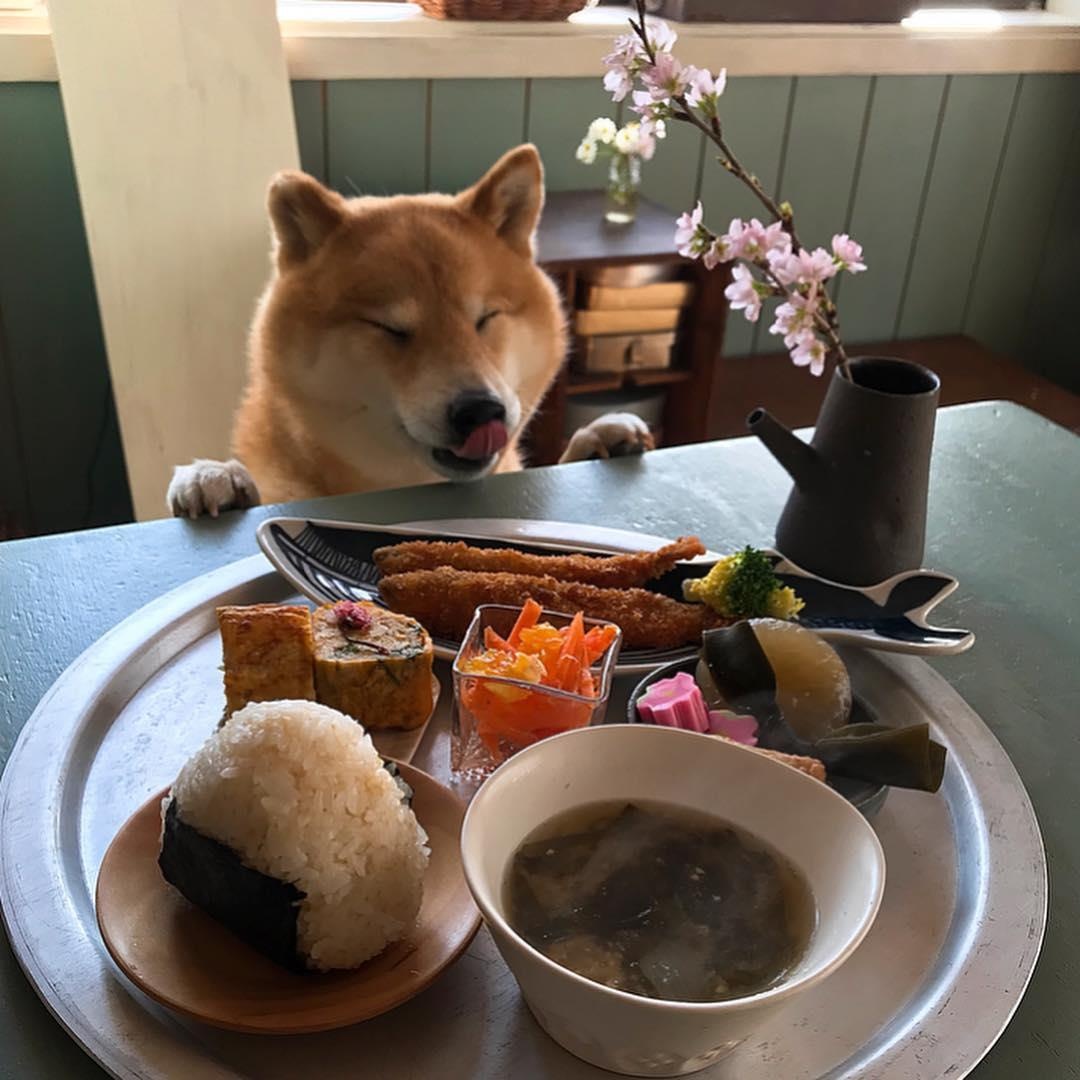 Mon ngon Nhat Ban anh 7