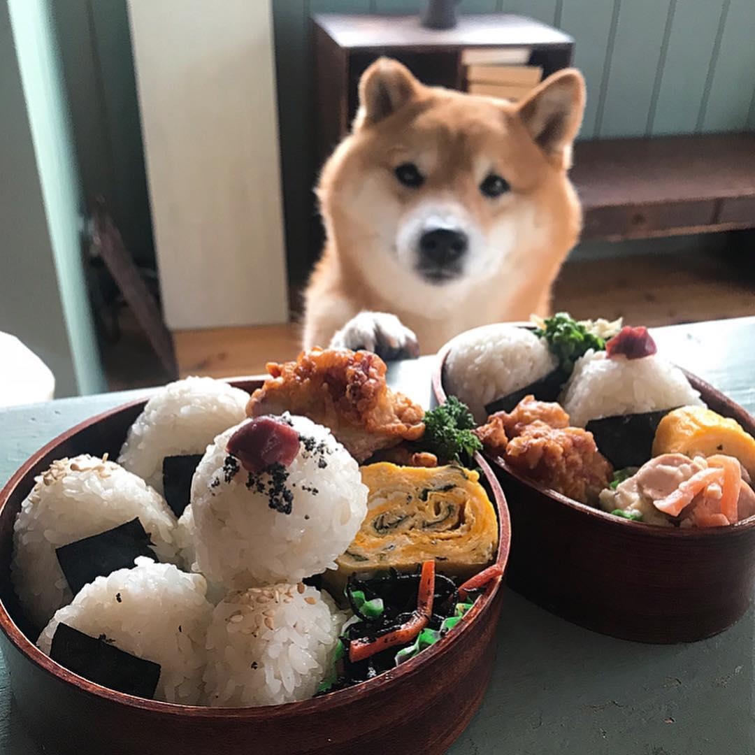 Mon ngon Nhat Ban anh 8