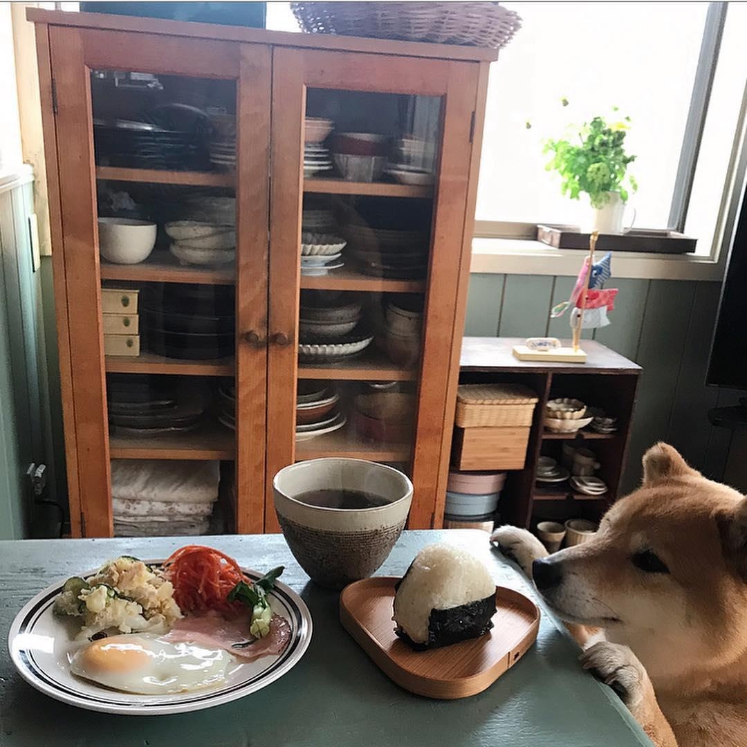 Mon ngon Nhat Ban anh 9