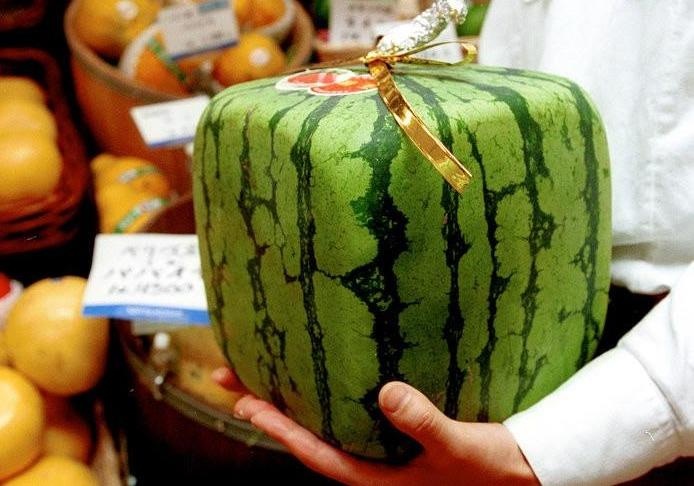 Dua hau vuong va nhung cach tao hinh trai cay doc dao hinh anh