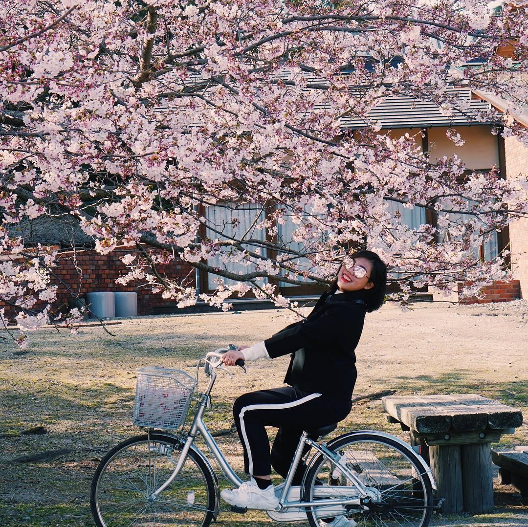 Dao tho Nhat Ban anh 13