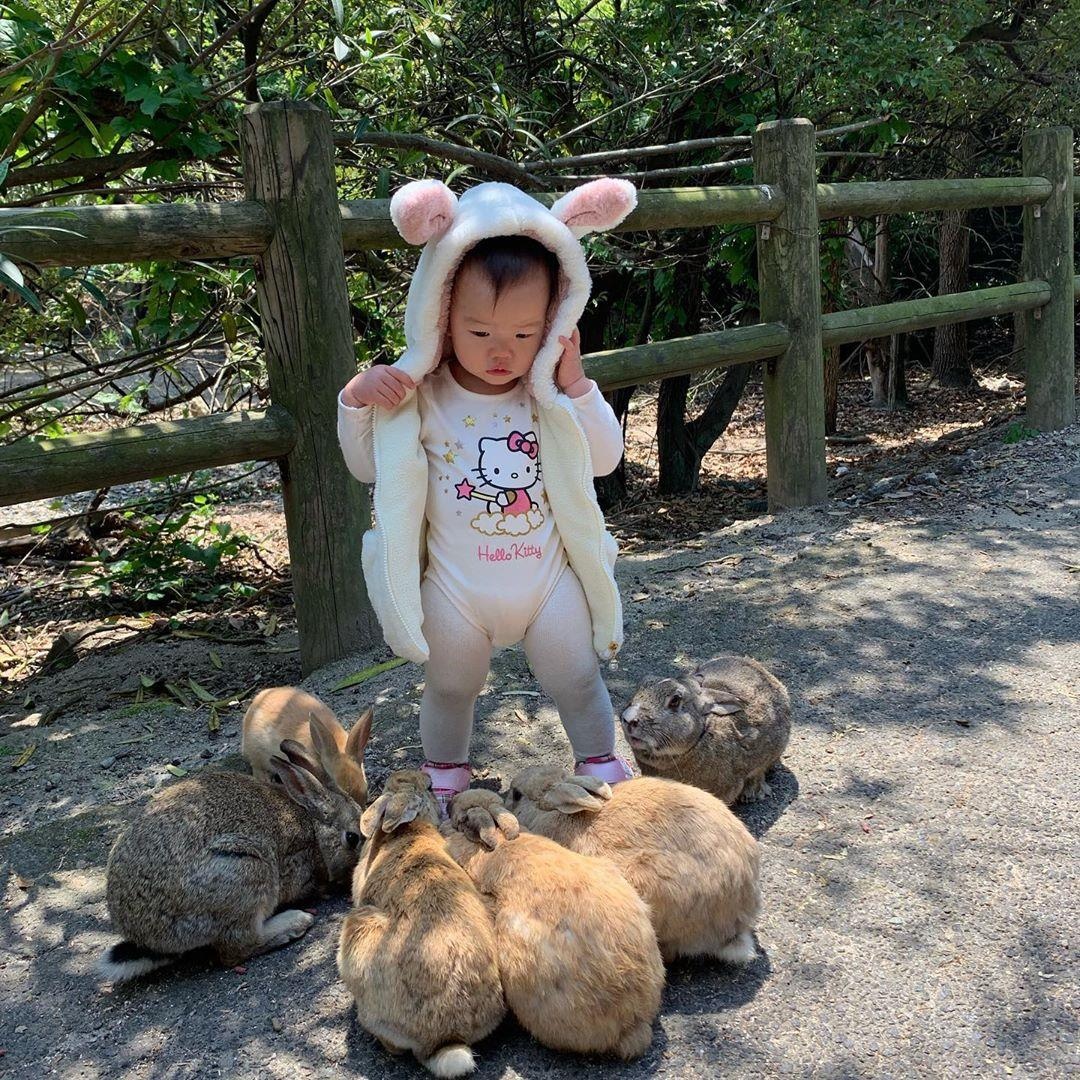 Dao tho Nhat Ban anh 3