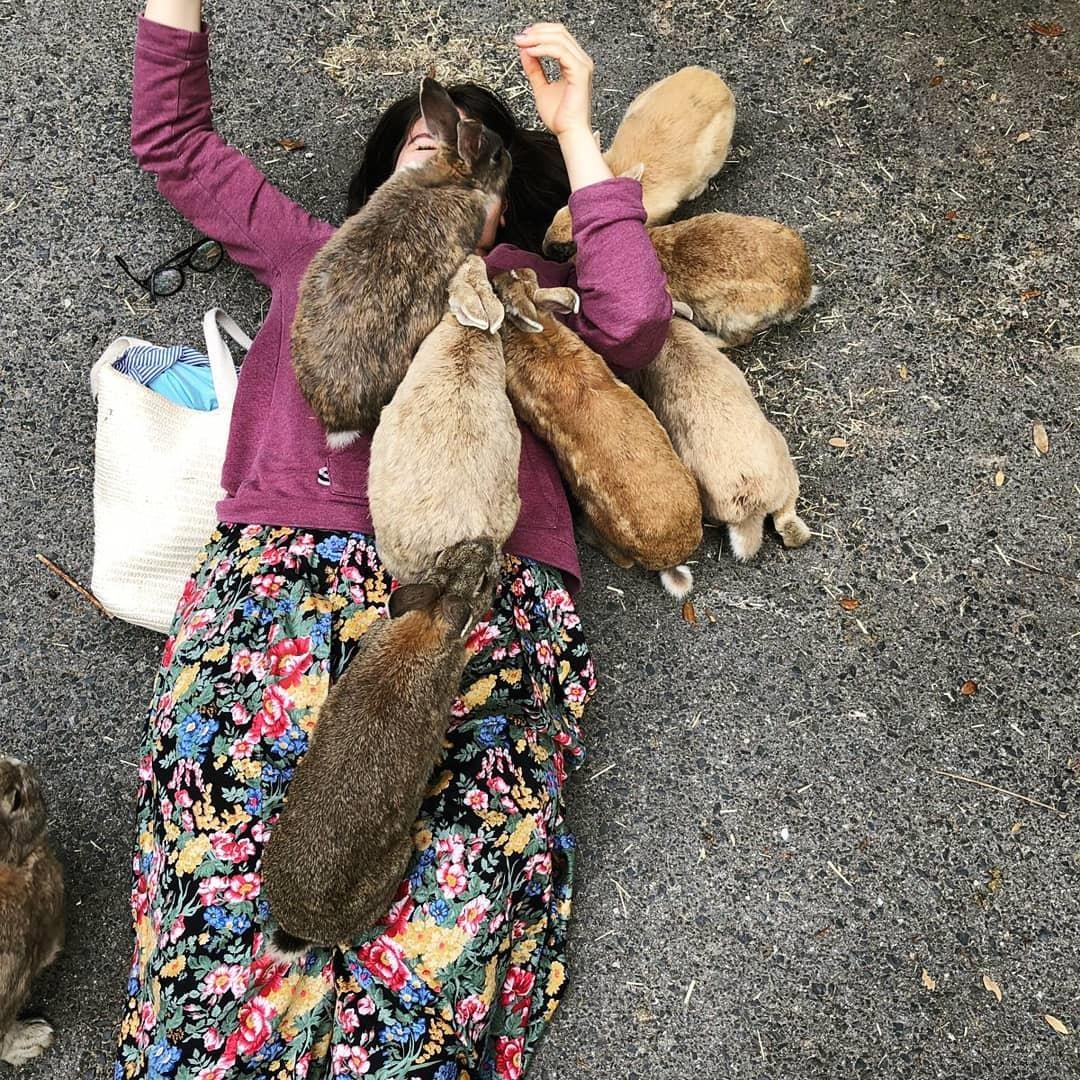 Dao tho Nhat Ban anh 11