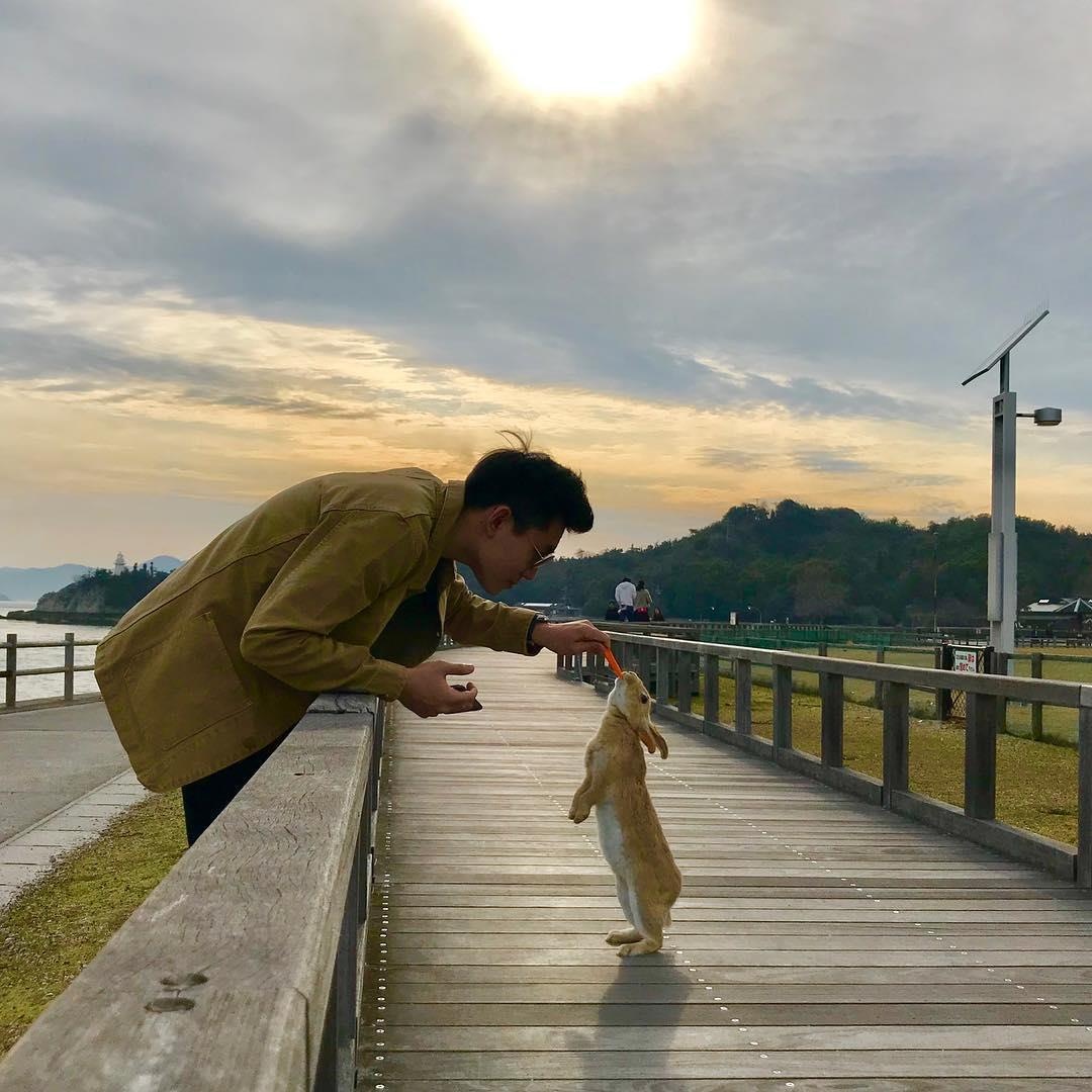 Dao tho Nhat Ban anh 10