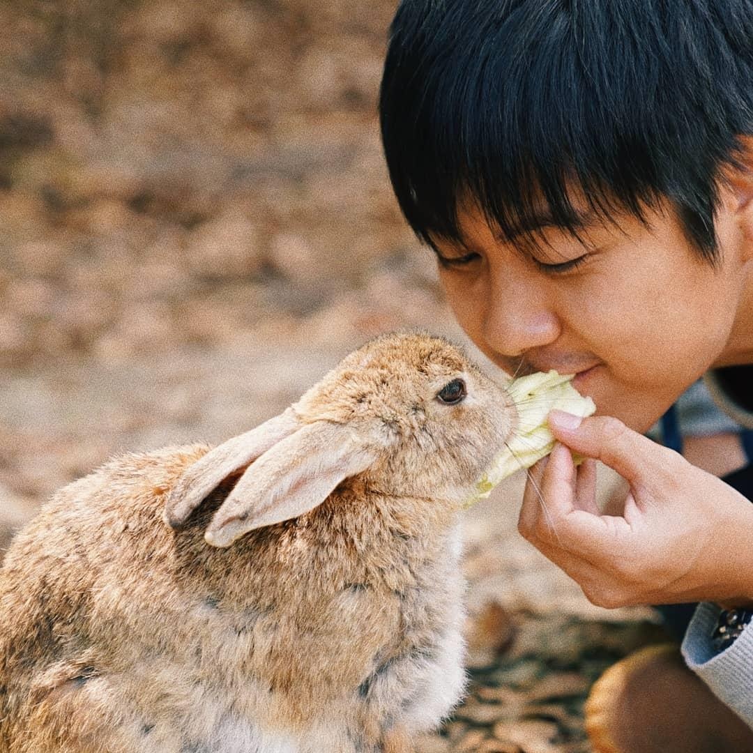 Dao tho Nhat Ban anh 4