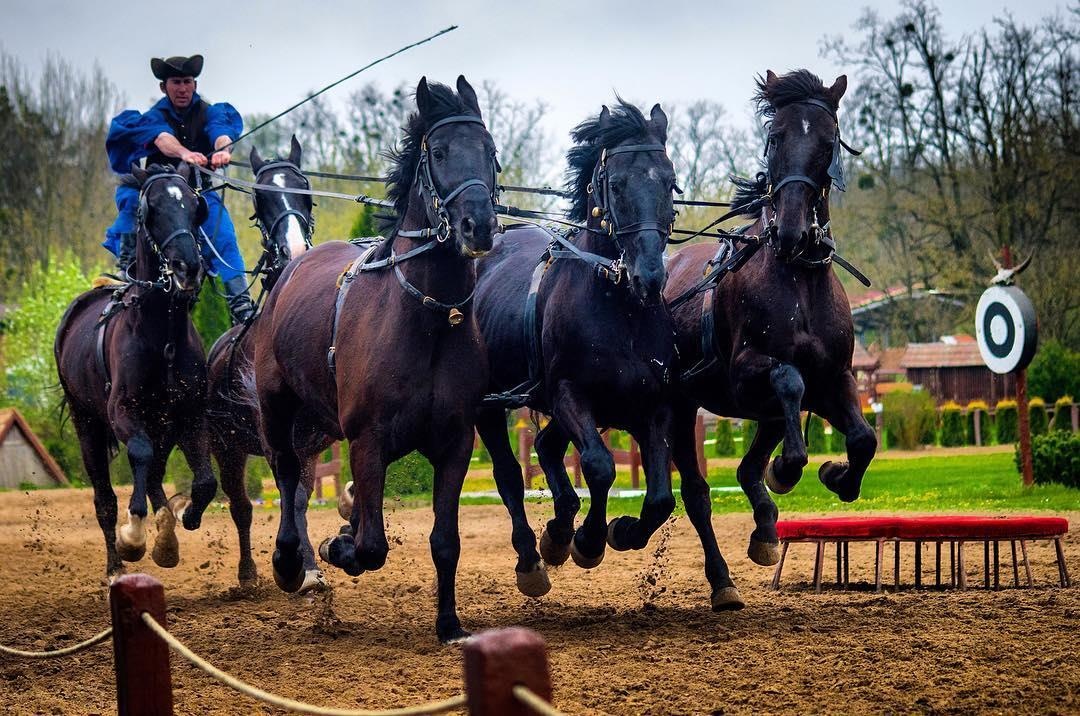 Du lich Hungary anh 9