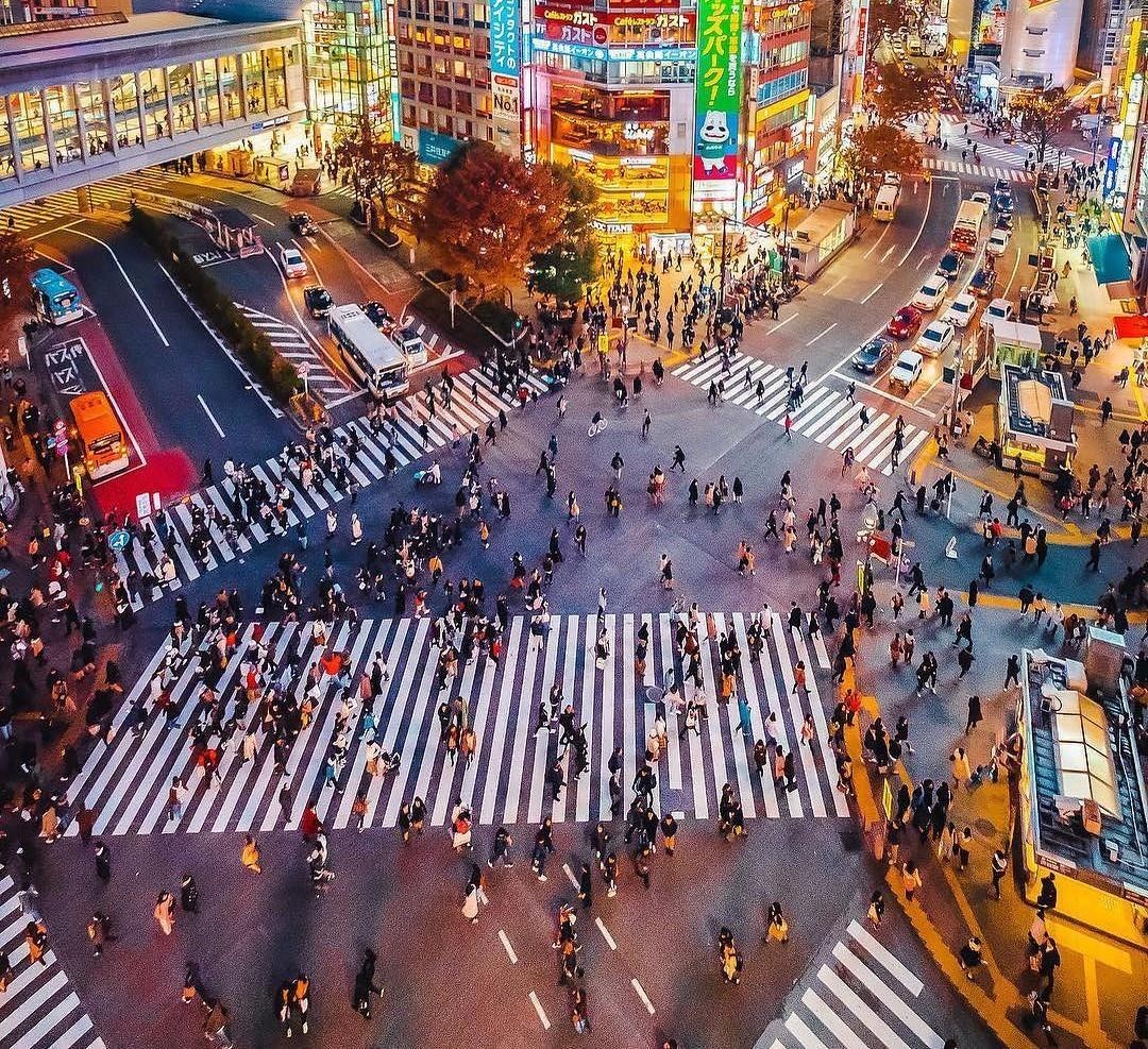 Godzilla Nhat Ban anh 4