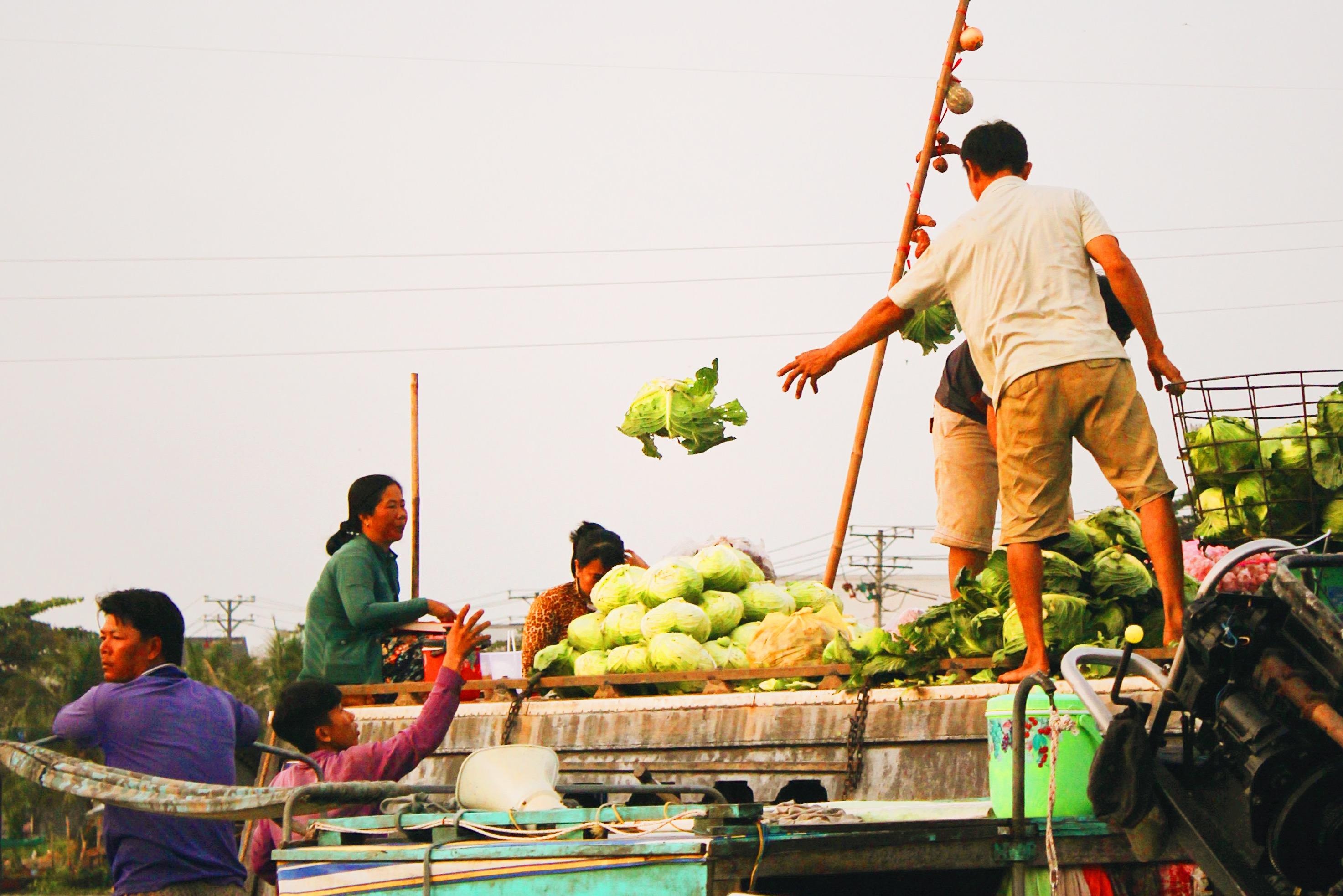 Du lich Can Tho anh 1