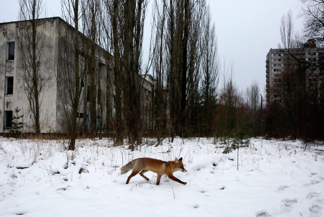 Chernobyl ảnh 13 Chernobyl anh 13