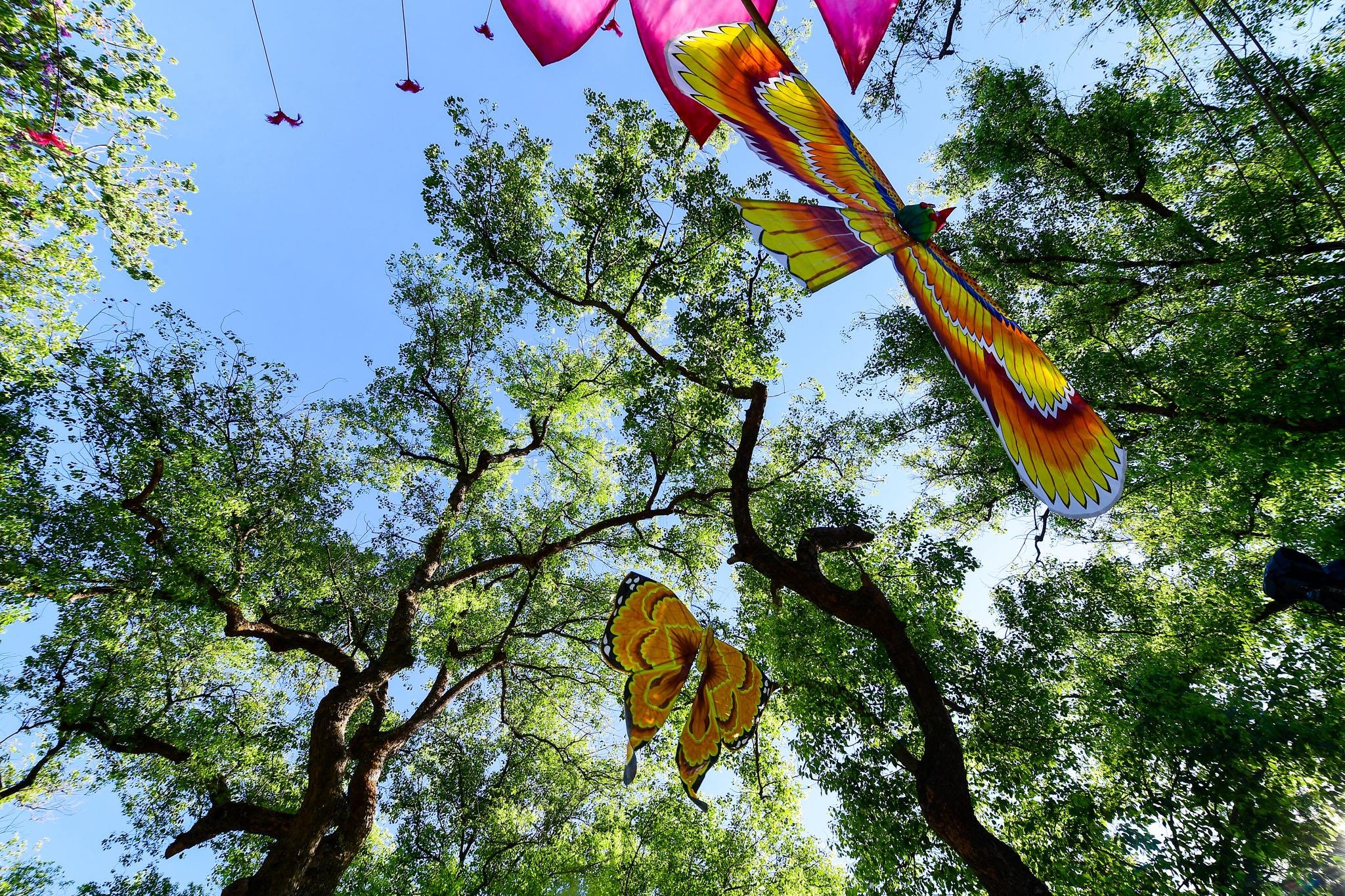 Le hoi tha dieu Hue anh 3