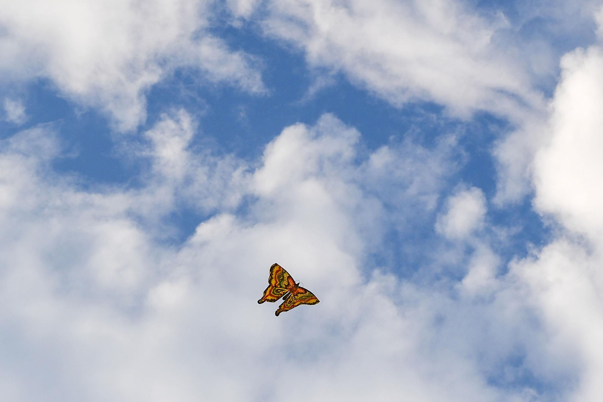 Le hoi tha dieu Hue anh 11