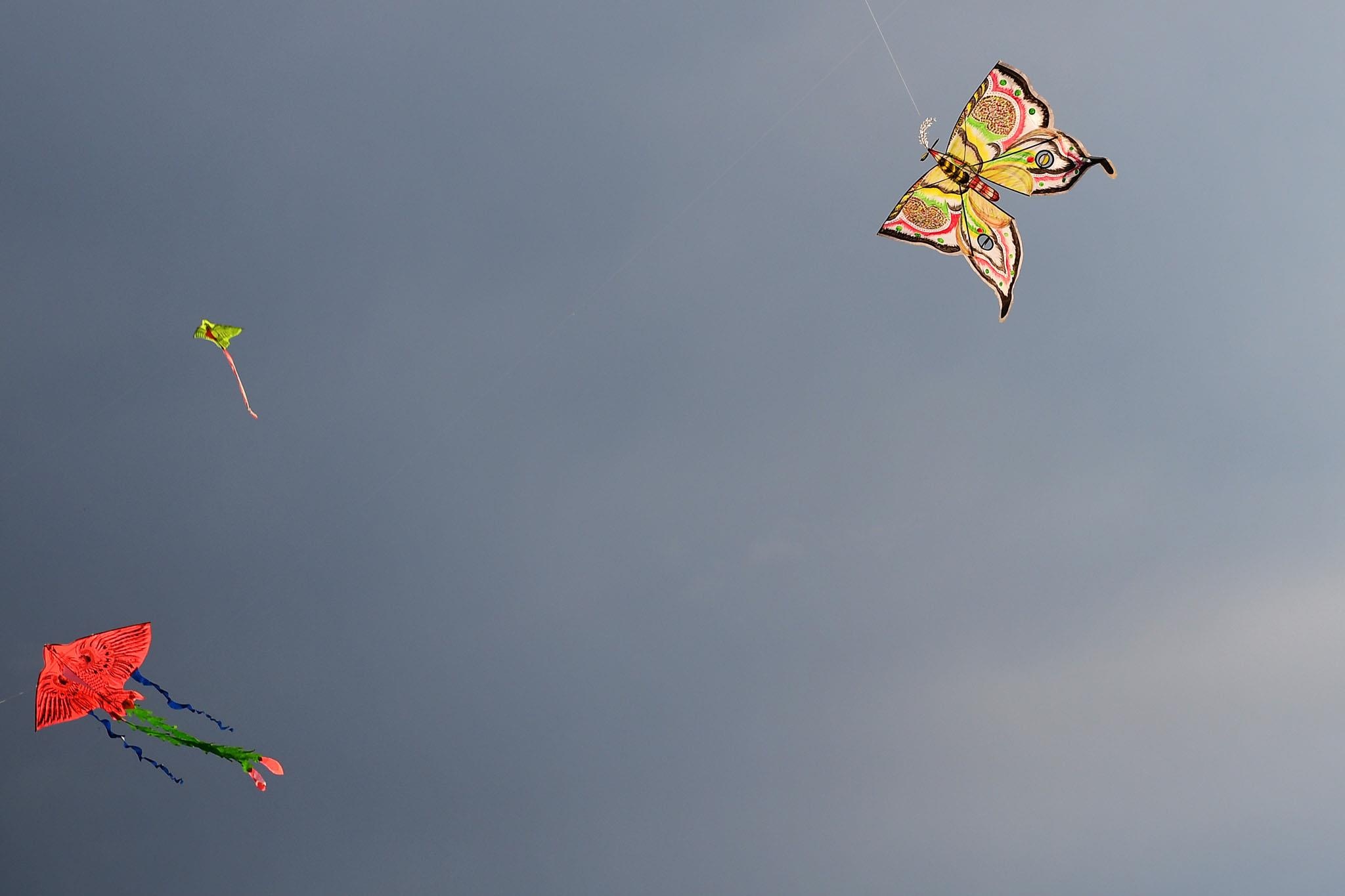 Le hoi tha dieu Hue anh 12