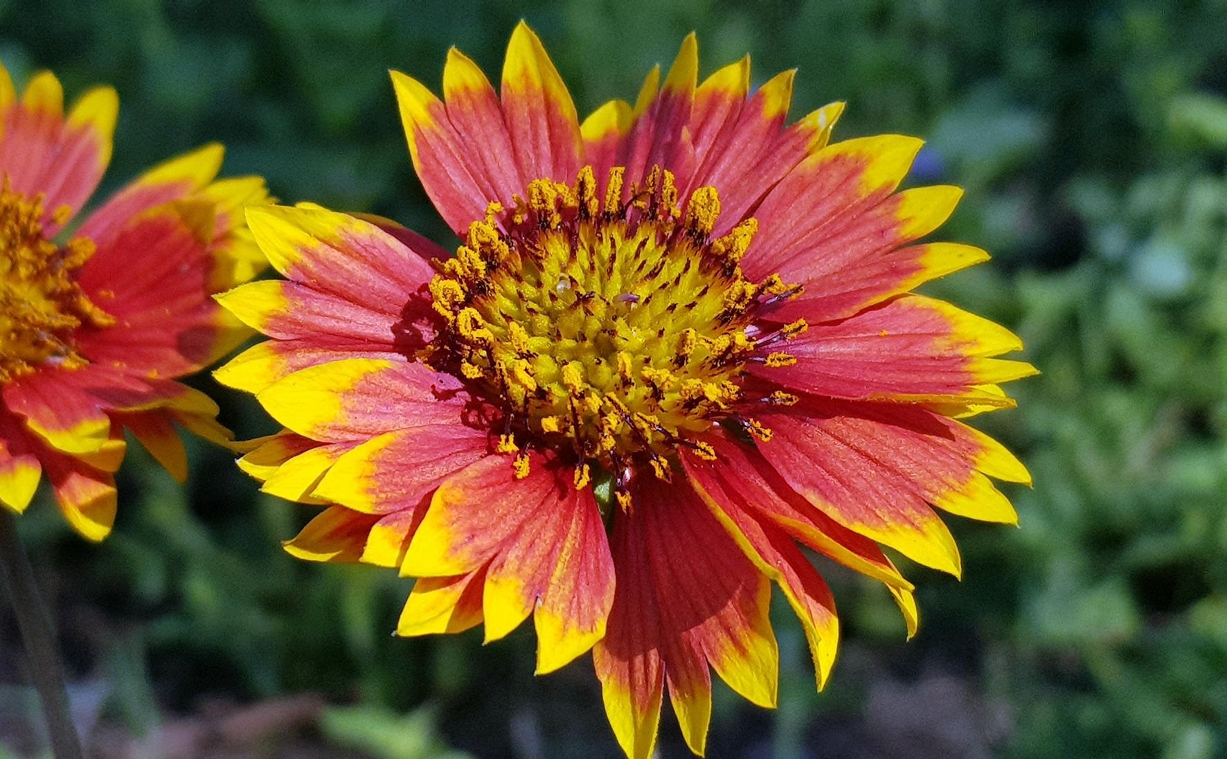 Biển Cửa Lò ảnh 1 Bien Cua Lo anh 1