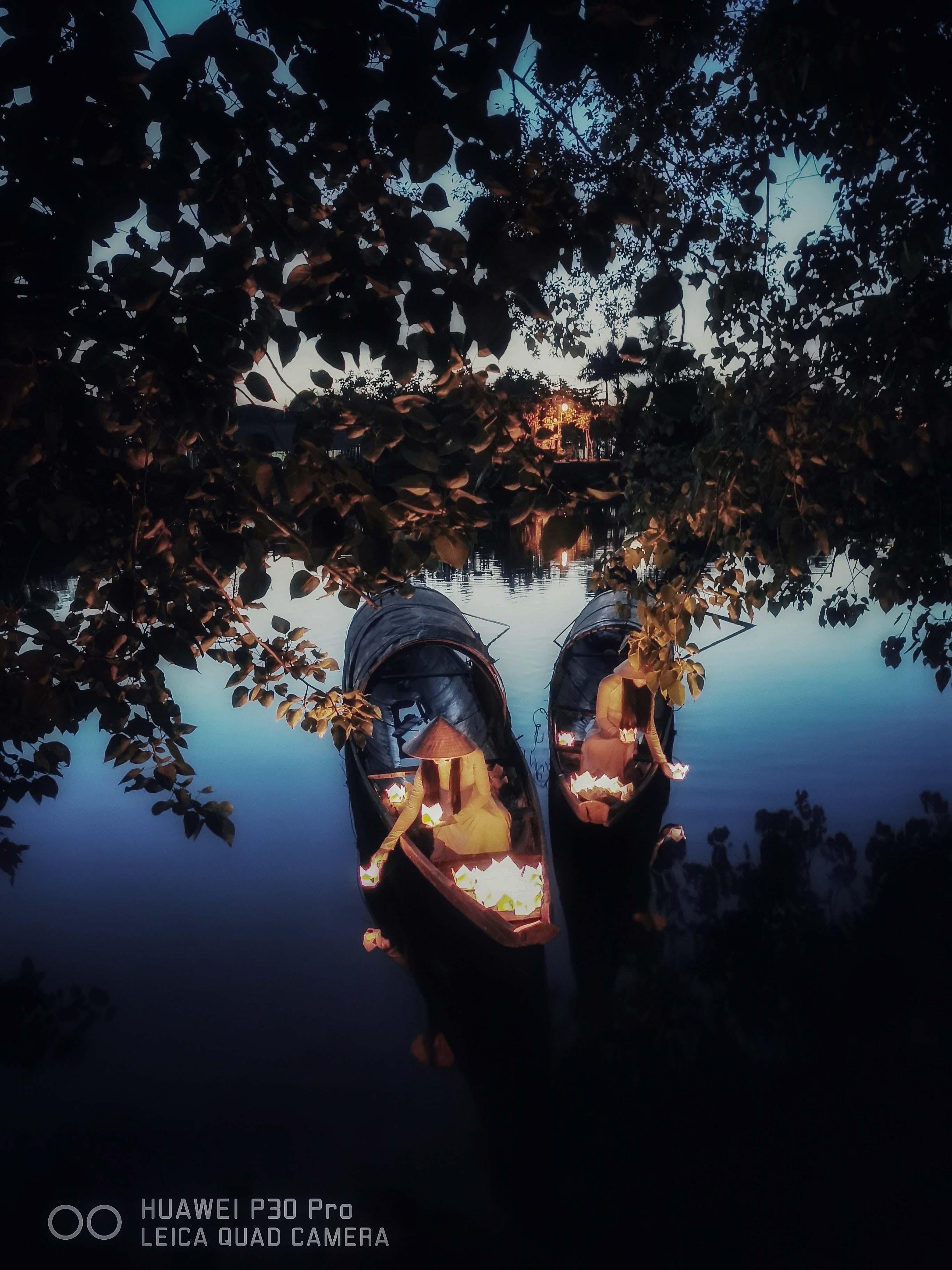 Picture-Perfect anh 4