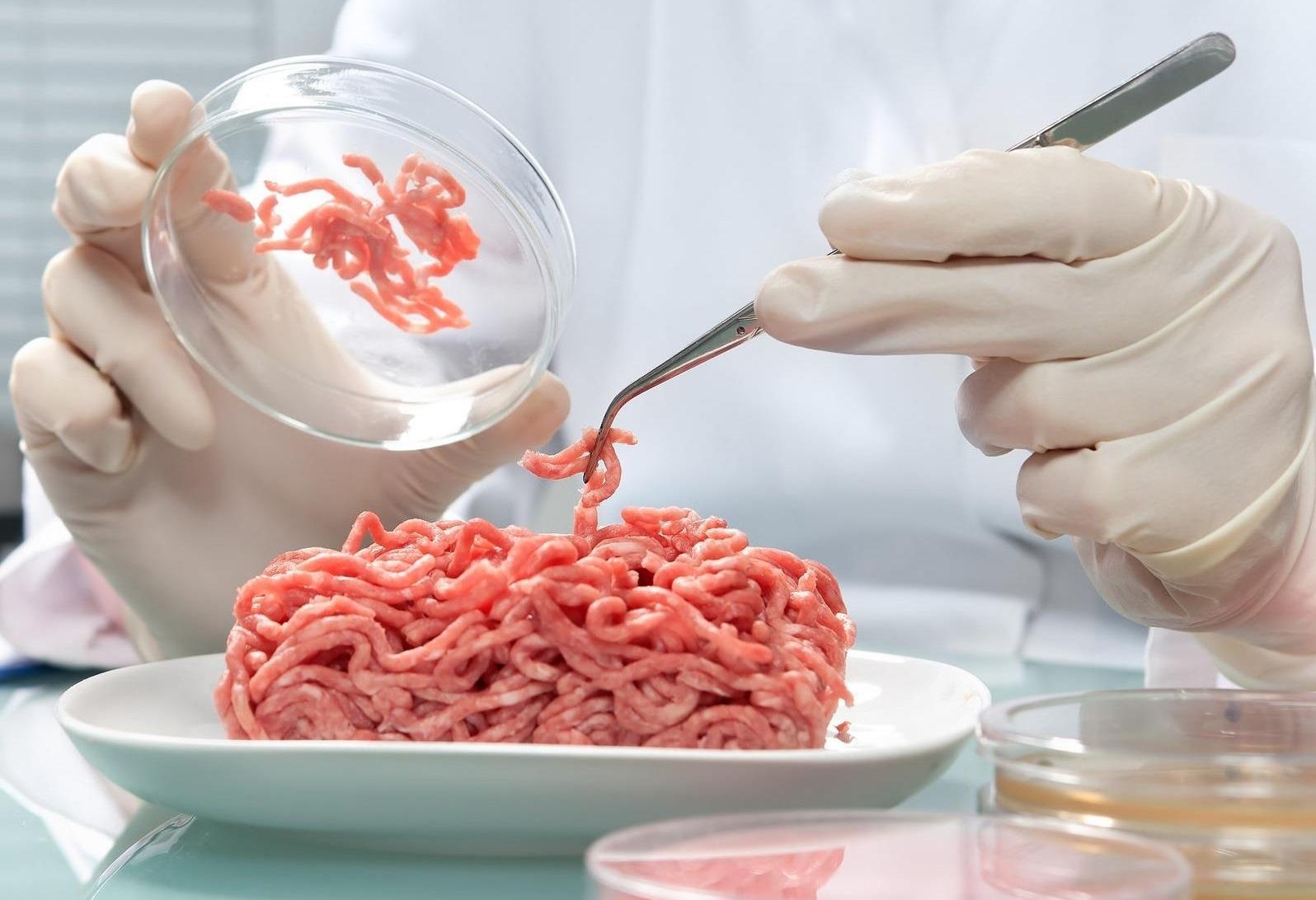 Cong nghe lam thit gia nhu that cua nguoi Nhat hinh anh