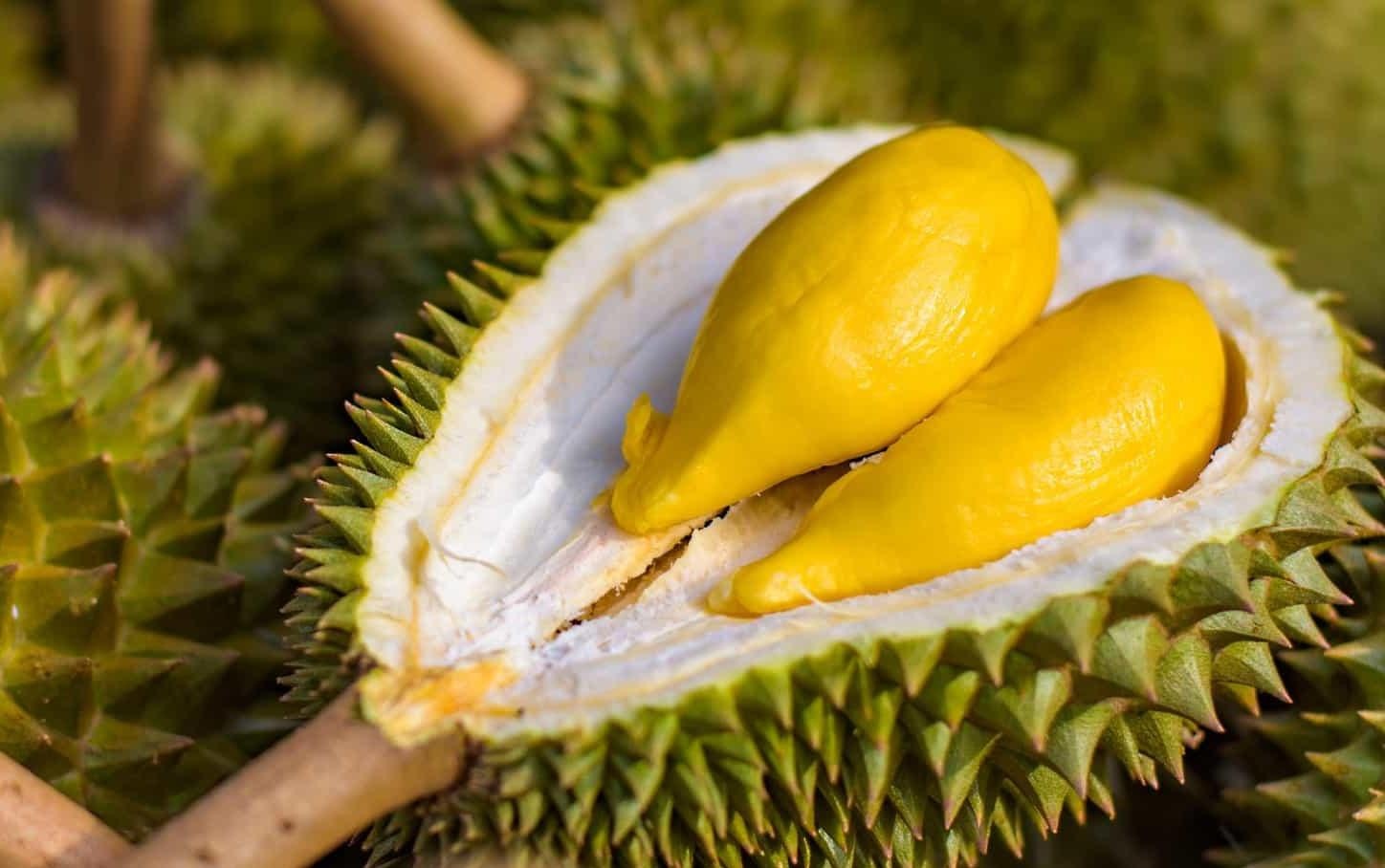 Sau rieng, nhan vao danh sach nhung loai qua ky la tren the gioi hinh anh