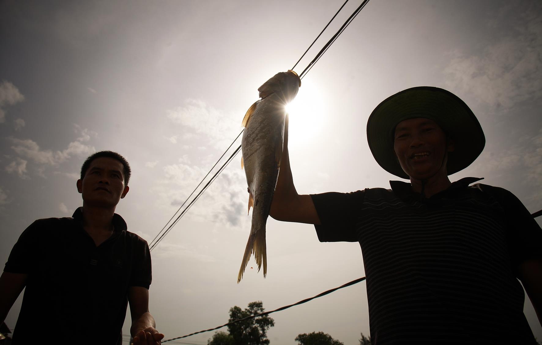 Le hoi danh bat ca anh 8