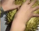 Dau bep Trung Quoc 'ho bien' banh bao thanh cac loai hoa qua hinh anh