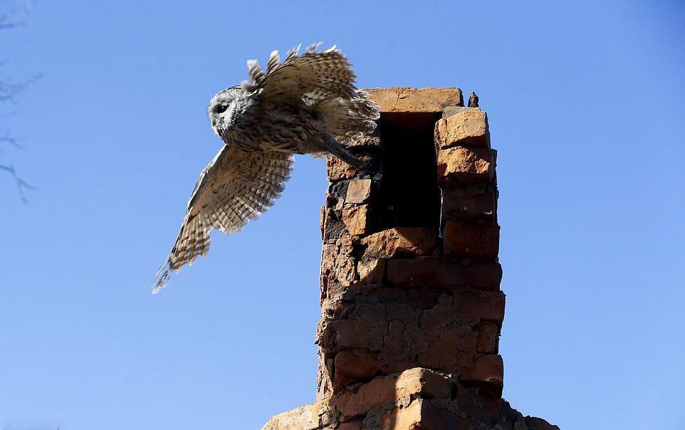 Tham hoa Chernobyl anh 1