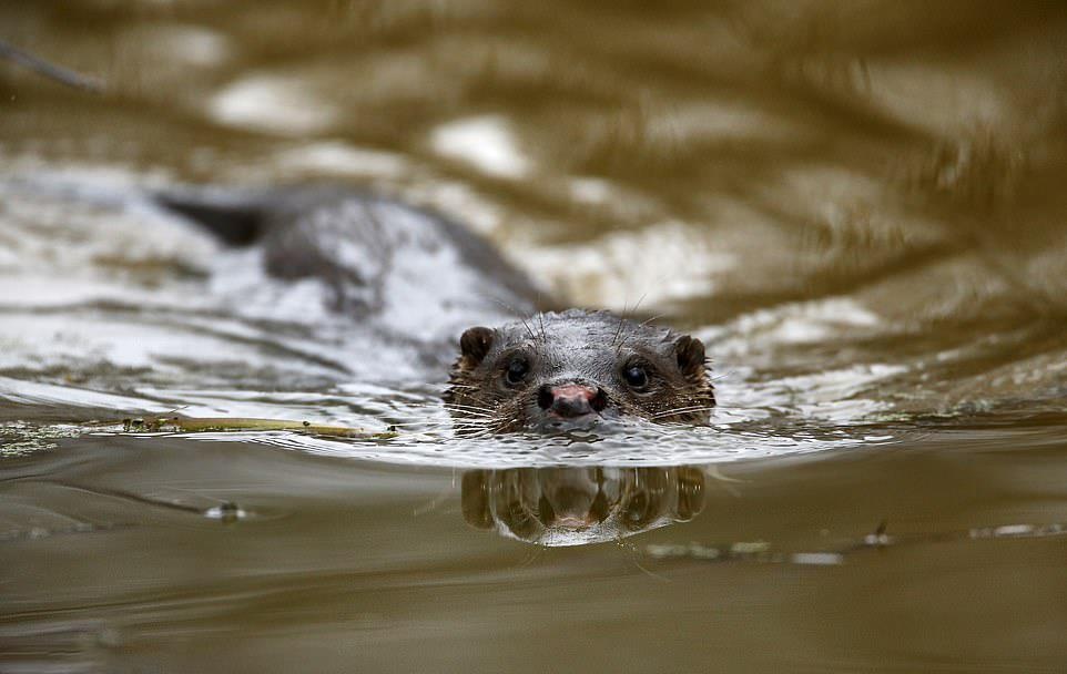 Tham hoa Chernobyl anh 5