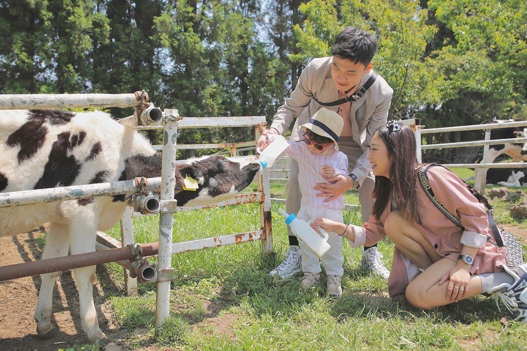 Ngày gia đình Việt Nam ảnh 8 Ngay gia dinh Viet Nam anh 8