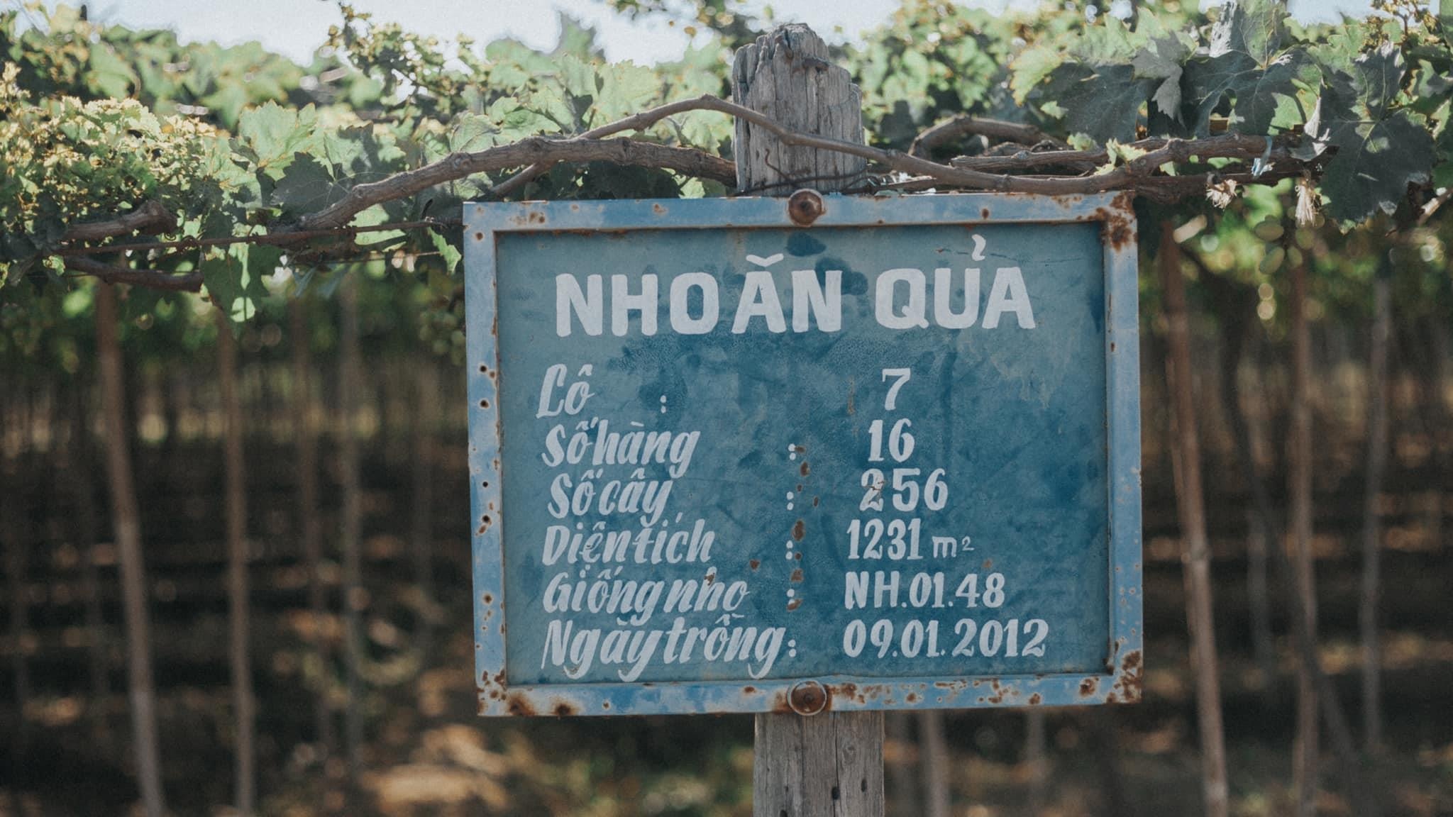 Ninh Thuan anh 13